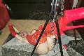 Foto Mistress Laura Mistresstrans Roma 320 8356177 - 16