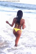 Foto Naomy Xl Transescort Bologna 329 0167932 - 132