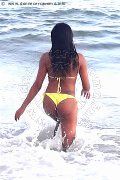 Foto Naomy Xl Transescort Bologna 329 0167932 - 131