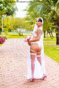 Foto Nick Miller Trans Verona 338 2945956 - 130