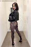 Foto Nick Miller Trans Verona 338 2945956 - 41