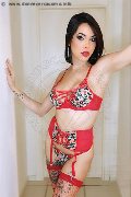Foto Nick Miller Trans Verona 338 2945956 - 113