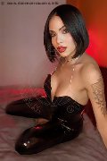 Foto Nick Miller Transescort Verona 338 2945956 - 26