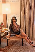 Foto Nick Miller Transescort Verona 338 2945956 - 39