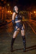 Foto Nick Miller Transescort Verona 338 2945956 - 121