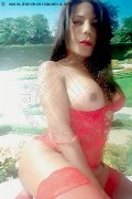 Foto Nikoll Trans Rovigo 350 8300505 - 6