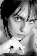 Foto Nina Trans Modena 327 5779564 - 5