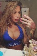 Rimini Trans Alessandra Toledo Pornostar 339 67 43 933 foto selfie 158