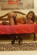 Rimini Trans Escort Alessandra Toledo Pornostar 339 67 43 933 foto selfie 235