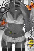 Firenze Trans Kiara Bardo 328 77 52 641 foto selfie 31