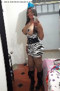 Modena Trans Mariza 329 82 13 842 foto selfie 6