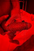 Cinisello Balsamo Trans Escort Meg Castellani 327 55 63 921 foto selfie 11
