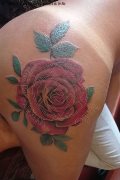 Torre Del Lago Puccini Trans Pamela Sexy 389 11 65 704 foto selfie 15