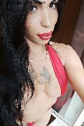 Treviso Trans Rayla Rios 329 38 77 403 foto selfie 37