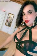 Treviso Trans Escort Rayla Rios 329 38 77 403 foto selfie 2