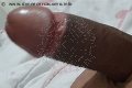 Prato Trans Tain� Oliveira 328 53 82 487 foto selfie 169