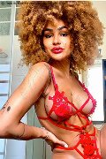 Foto Stella Trans Milano 329 5563971 - 25