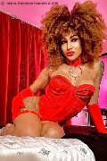 Foto Stella Trans Milano 329 5563971 - 17