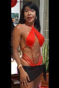 Foto Tain� Oliveira Trans Prato 328 5382487 - 33