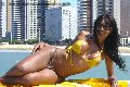 Foto Tain� Oliveira Trans Prato 328 5382487 - 53