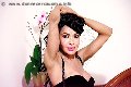 Foto Tain� Oliveira Trans Prato 328 5382487 - 29