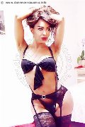 Foto Tain� Oliveira Trans Prato 328 5382487 - 25