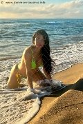Foto Tain� Oliveira Trans Prato 328 5382487 - 1