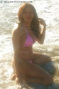 Foto Tain� Oliveira Trans Prato 328 5382487 - 14