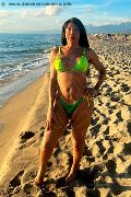 Foto Tain� Oliveira Trans Prato 328 5382487 - 6