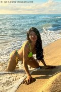 Foto Tain� Oliveira Trans Prato 328 5382487 - 2