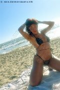 Foto Tain� Oliveira Trans Prato 328 5382487 - 10