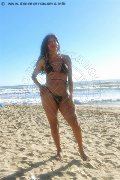 Foto Tain� Oliveira Trans Prato 328 5382487 - 7