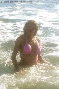 Foto Tain� Oliveira Trans Prato 328 5382487 - 15