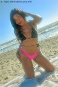 Foto Tain� Oliveira Transescort Prato 328 5382487 - 1