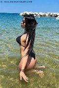 Foto Zafiro Fragola Latina Trans Rimini 350 9912374 - 1